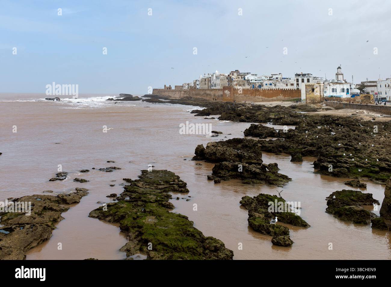 Paesaggio urbano costiero con edifici storici lungo una costa rocciosa e vista sull'oceano. Marocco Foto Stock