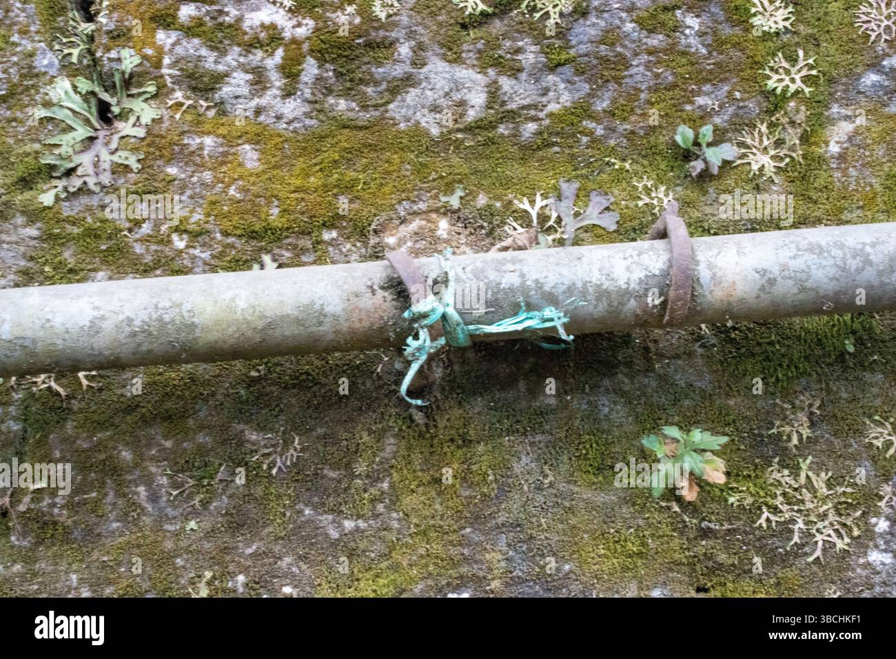 Fornitura di tubi metallici per acqua potabile a Darjeeling, India Foto Stock