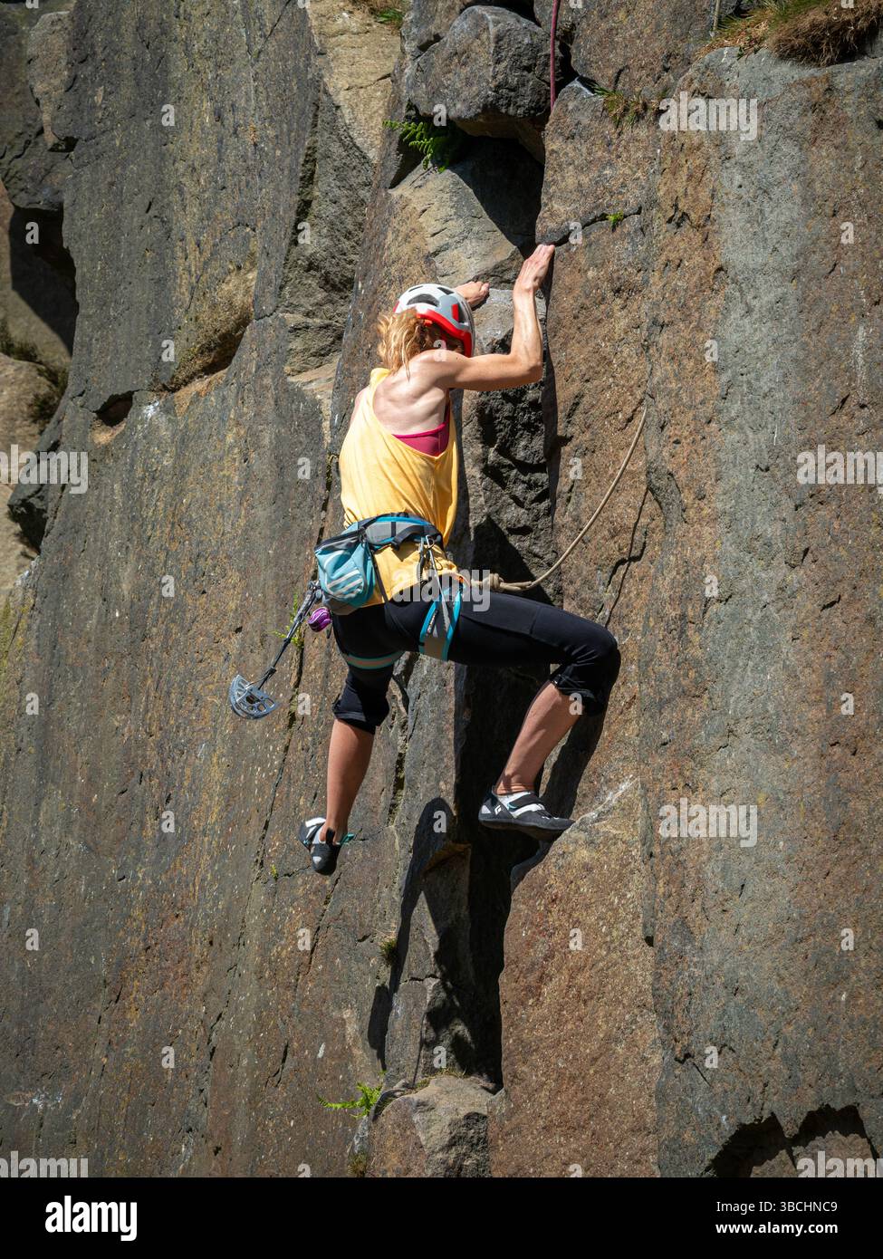 Una arrampicatrice femmina sale sul volto della mucca, la più grande delle rocce mucca e vitello a Ilkley Moor, nello Yorkshire, in una giornata di sole Foto Stock