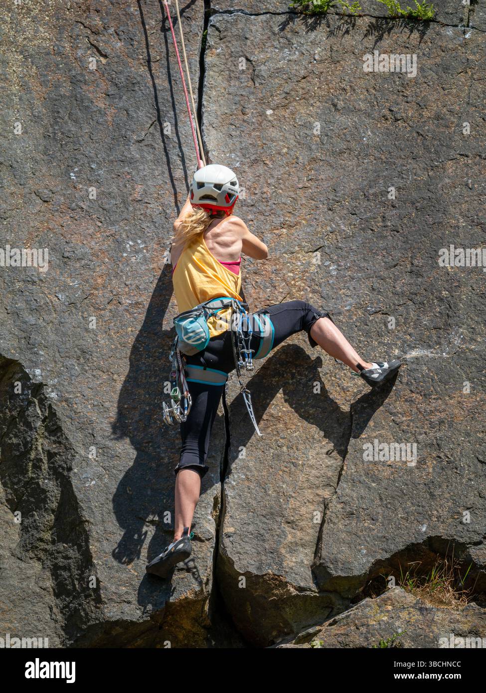 Una arrampicatrice femmina sale sul volto della mucca, la più grande delle rocce mucca e vitello a Ilkley Moor, nello Yorkshire, in una giornata di sole Foto Stock