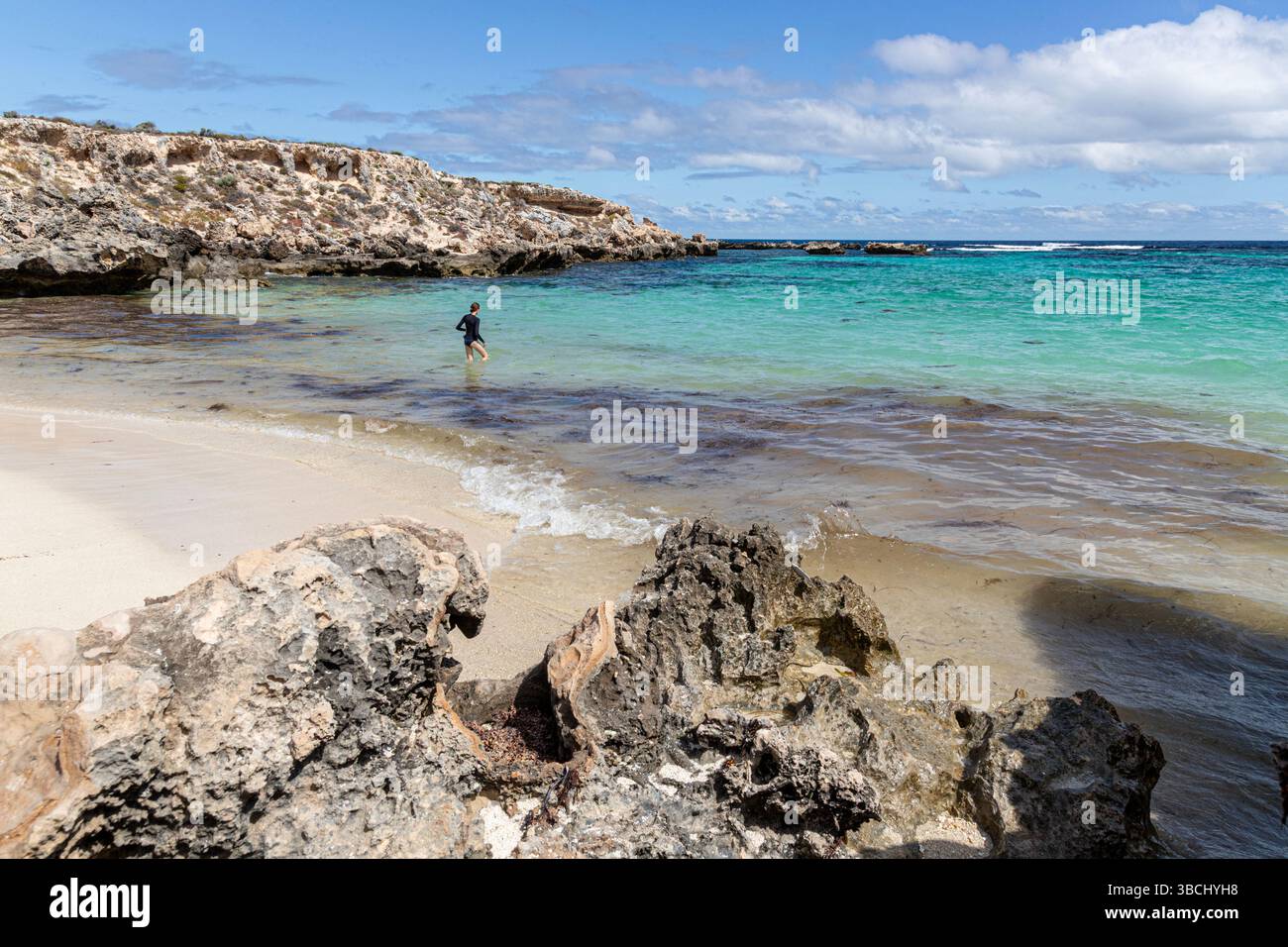 Un bagnetto che si gode la spiaggia di sabbia bianca di Little Salmon Bay sulla costa meridionale di Rottnest Island (Wadjemup), Australia Occidentale, WA, Australia. Foto Stock