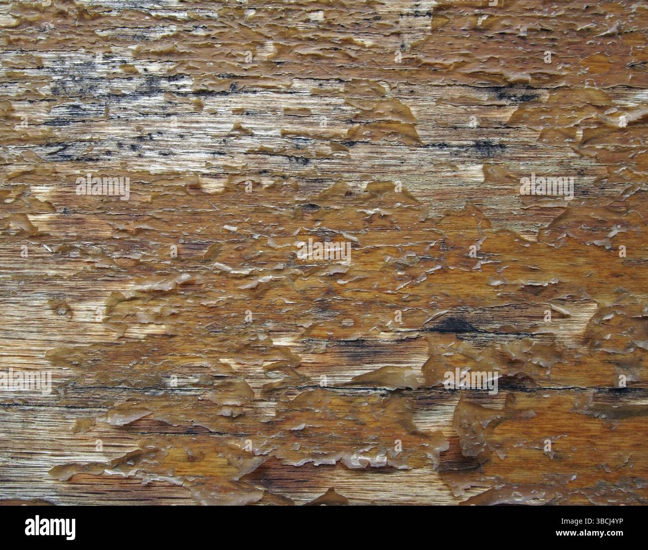 Primo piano di un vecchio pannello di legno marrone con vernice sfogliata Foto Stock