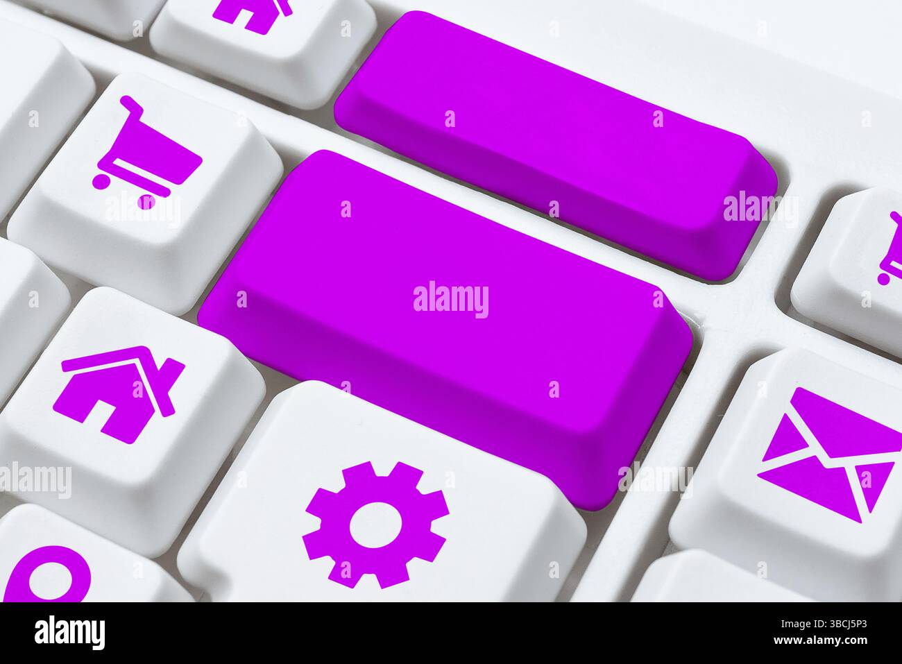 Ridigitare i file della cronologia di download, digitando i moduli di registrazione online Foto Stock