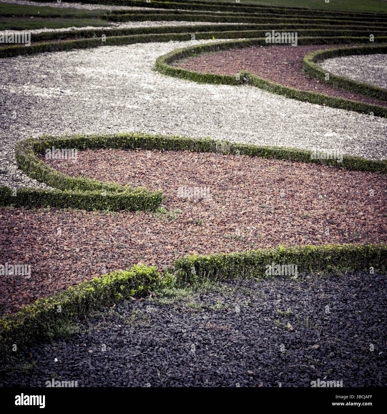 Dettaglio di un giardino ornamentale con siepi e ghiaia Foto Stock
