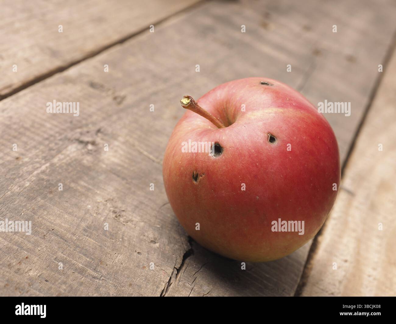 Apple organico su un legno rustico tavolo da cucina Foto Stock