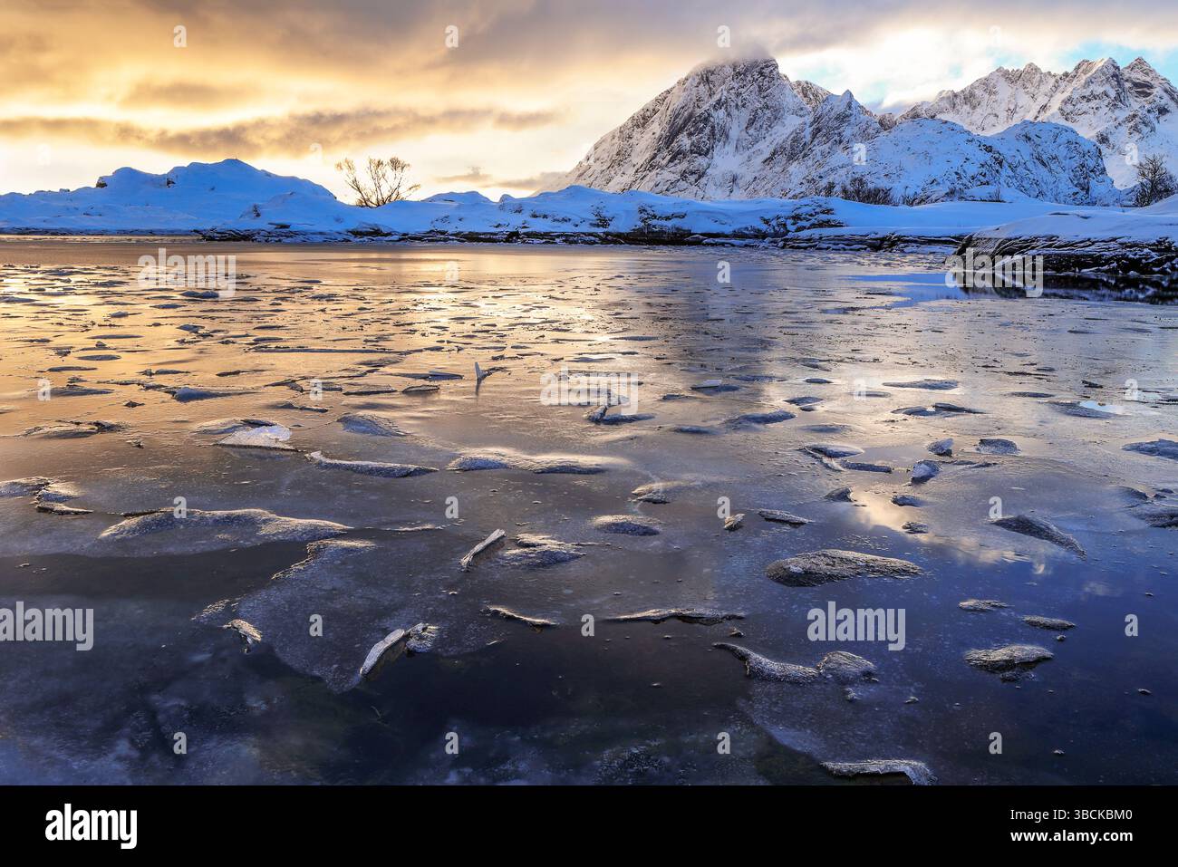 Lago ghiacciato con sottili banchi di ghiaccio rotti in superficie retroilluminati al tramonto dorato a Lofoten, Norvegia Foto Stock