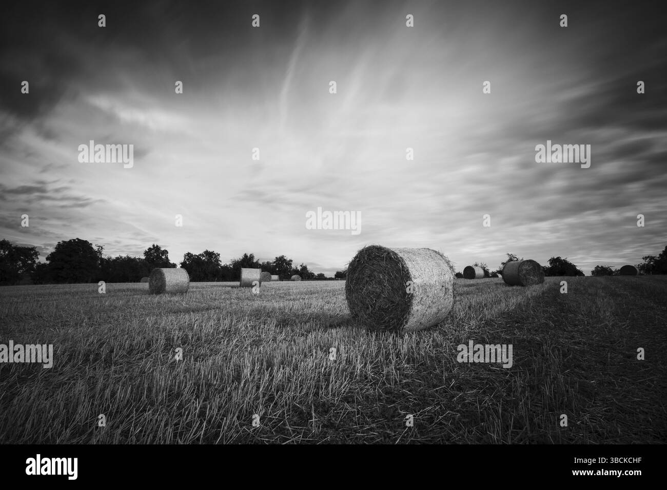 Campo di stoppie con balle di paglia Foto Stock