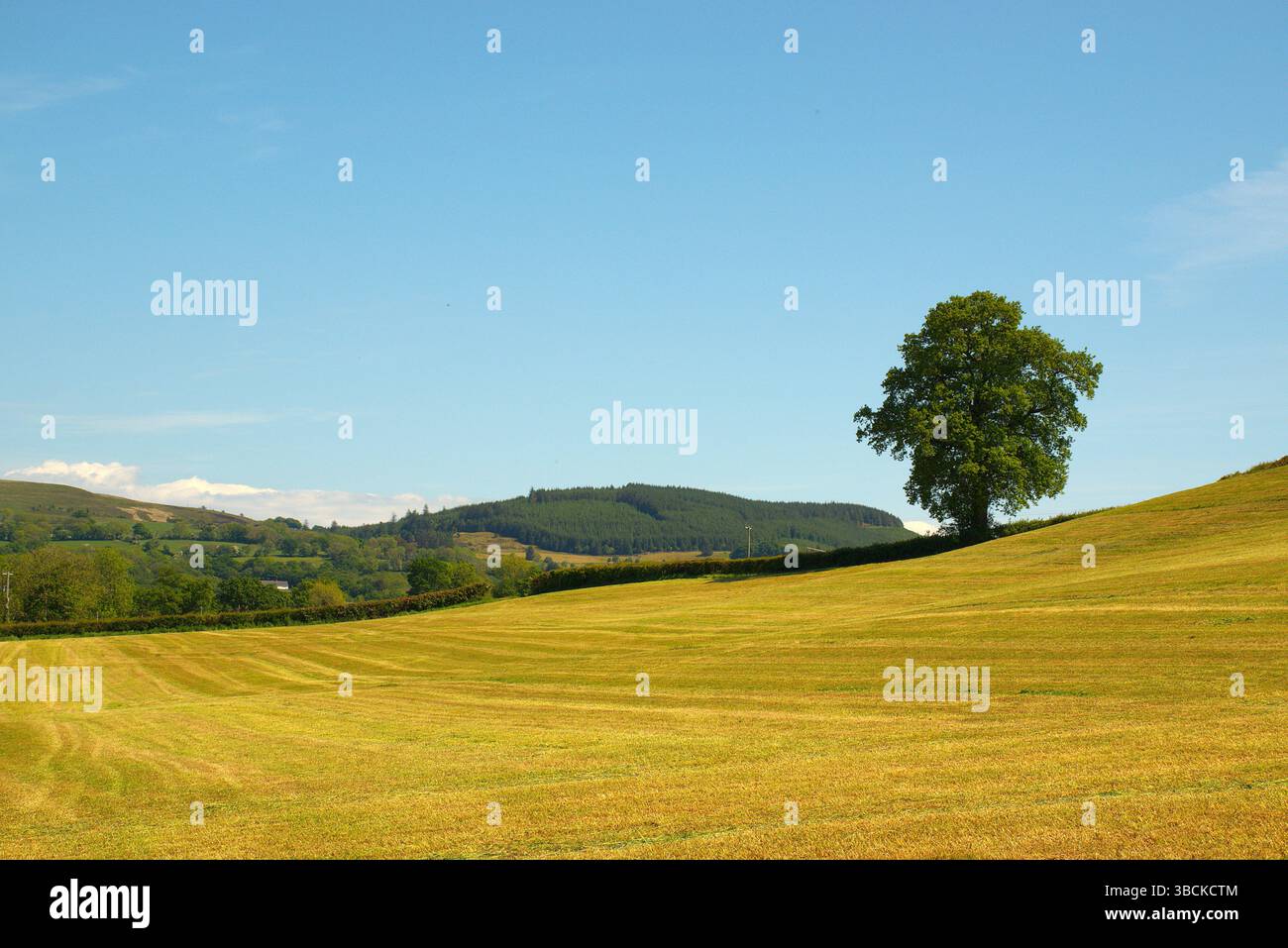 Welsh Hills, Rhydybont, Galles occidentale Foto Stock