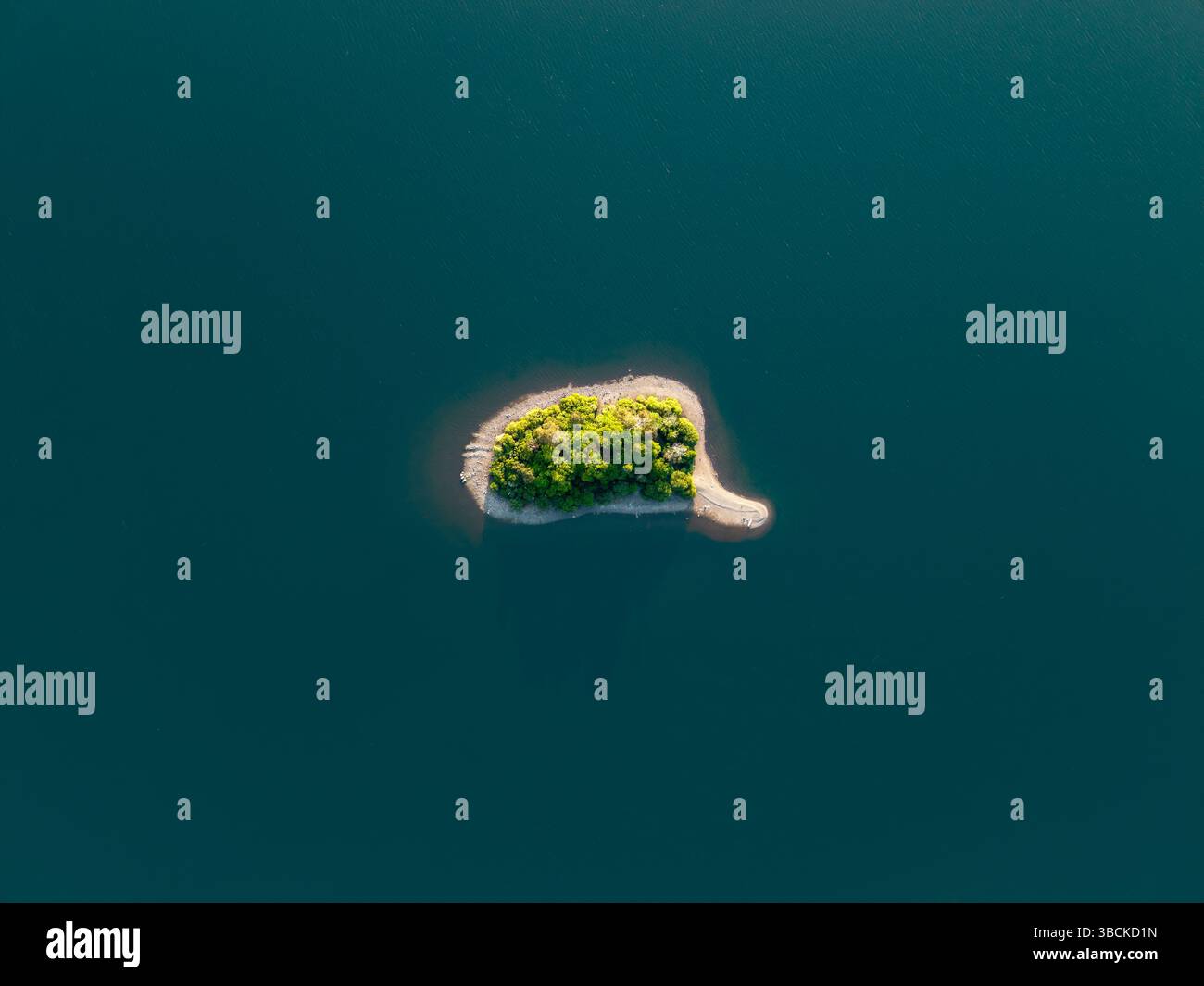Vista aerea direttamente sopra una piccola isola tropicale circondata da acque calme e ricoperta di alberi a forma di bolla mentale. Viaggia da sogno Foto Stock