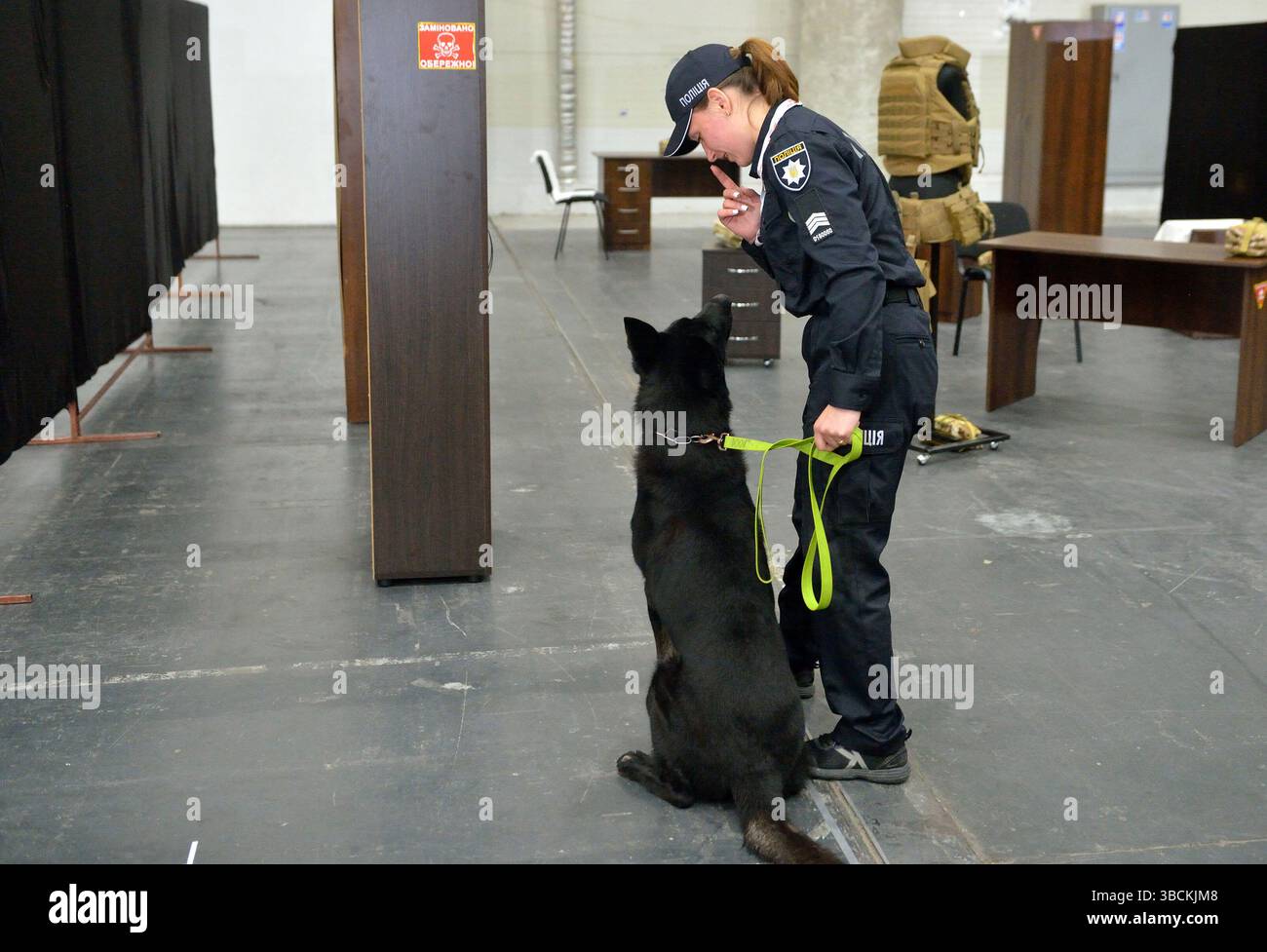 Non esclusivo: Un gestore di cani della polizia nazionale e un cane di servizio dimostrano capacità di rilevamento esplosivo nel più grande concorso di addestramento per cani dell'Ucraina Foto Stock