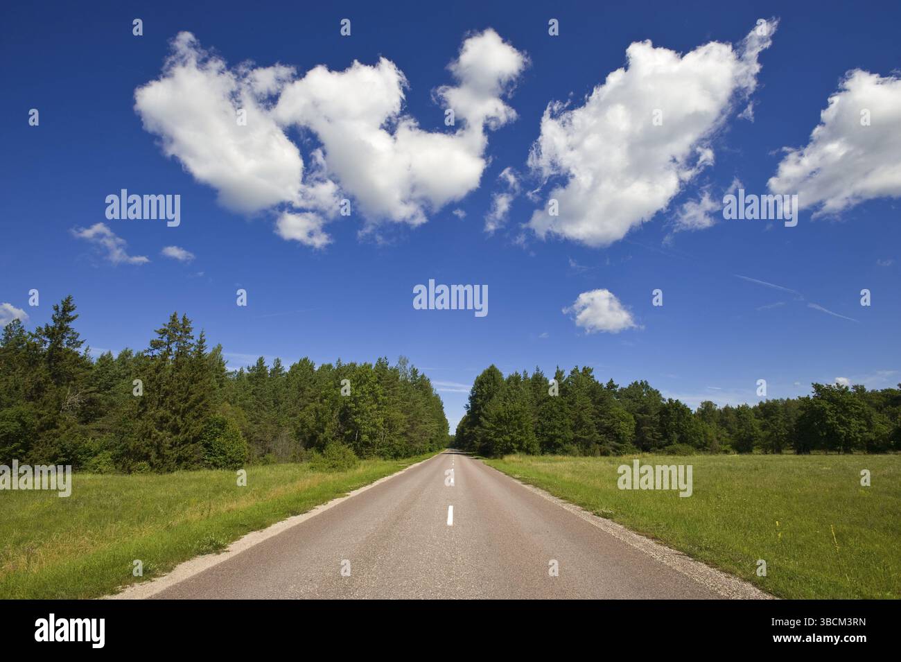 Strada di campagna, isola Saaremaa, Estonia, Europa Foto Stock