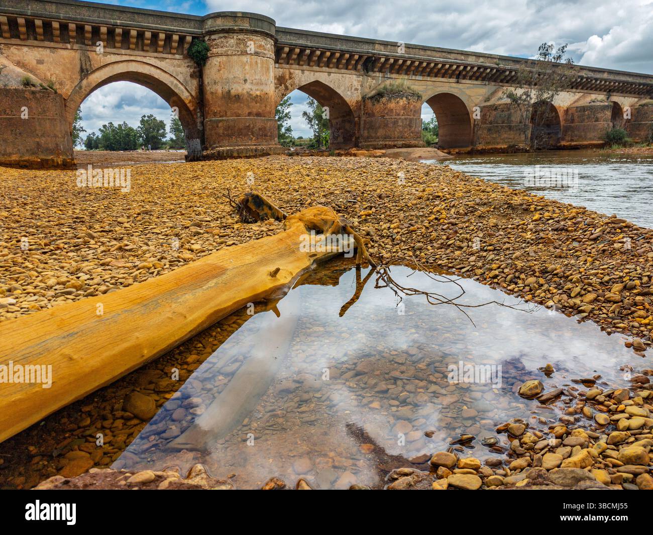 Un tronco d'albero poggia nel letto del fiume Tinto, che mostra le sfumature rossastre della mineralizzazione accanto ad un antico ponte romano. Foto Stock