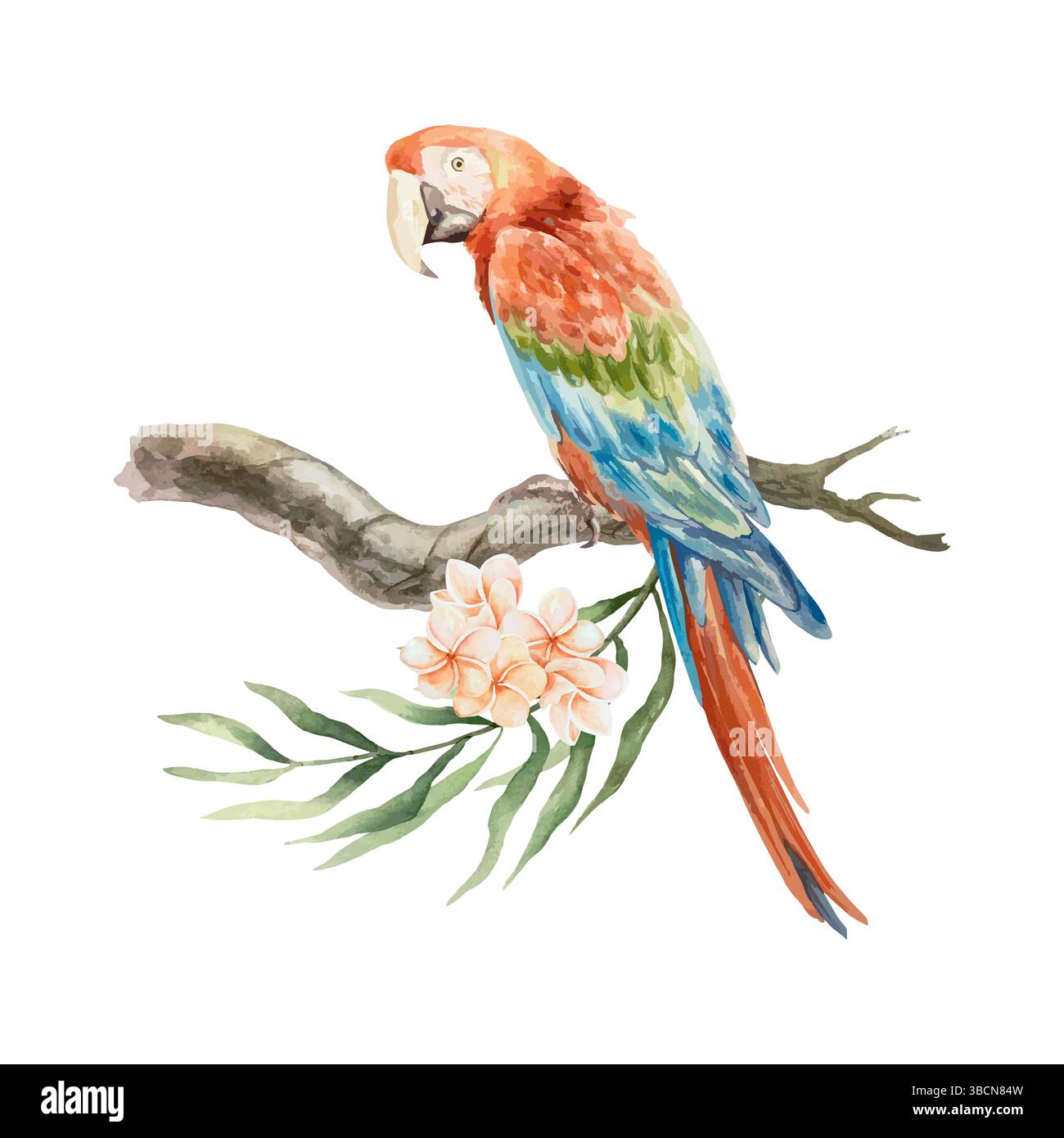 Pappagallo di Macaw seduto su un ramo tropicale con fiori di plumeria, acquerello. Illustrazione vettoriale disegnata a mano. Per cartoline, inviti, grande festa estiva Illustrazione Vettoriale