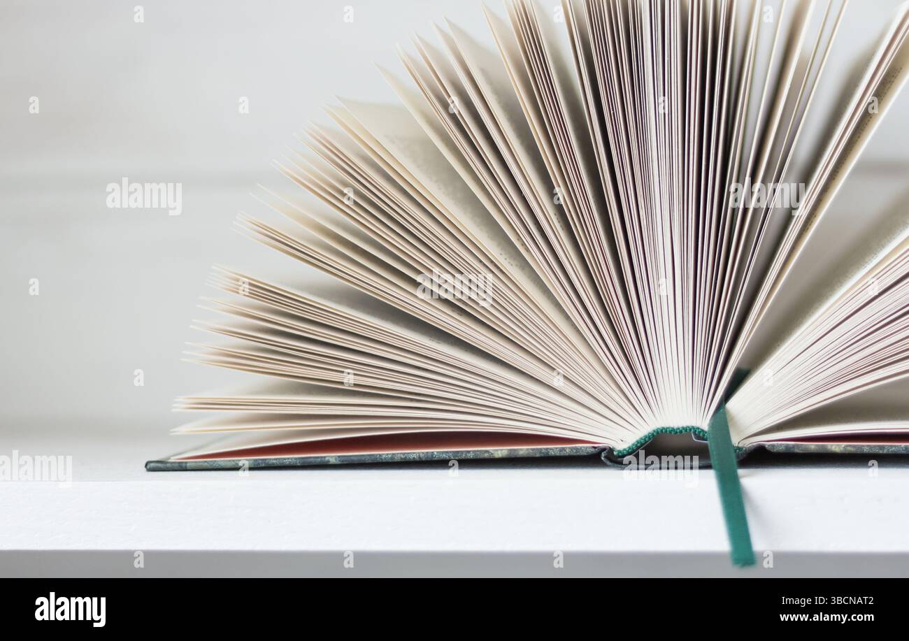Libro aperto isolato. Letteratura ed educazione. Conoscenza e saggezza. Aprire le pagine con testo. Concetto di libreria. Archiviazione dei libri. Foto Stock
