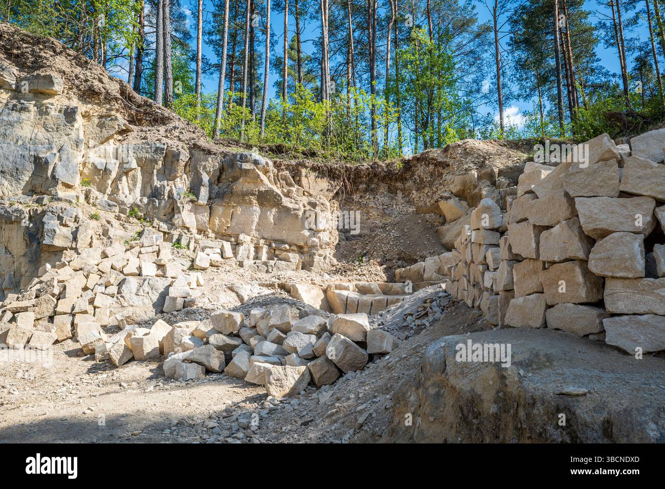 Blocchi di pietra calcarea. Cava circondata dalla foresta. Rocky Cliff. Jozefow, regione di Roztocze, Polonia. Voivodato di Lublino Foto Stock