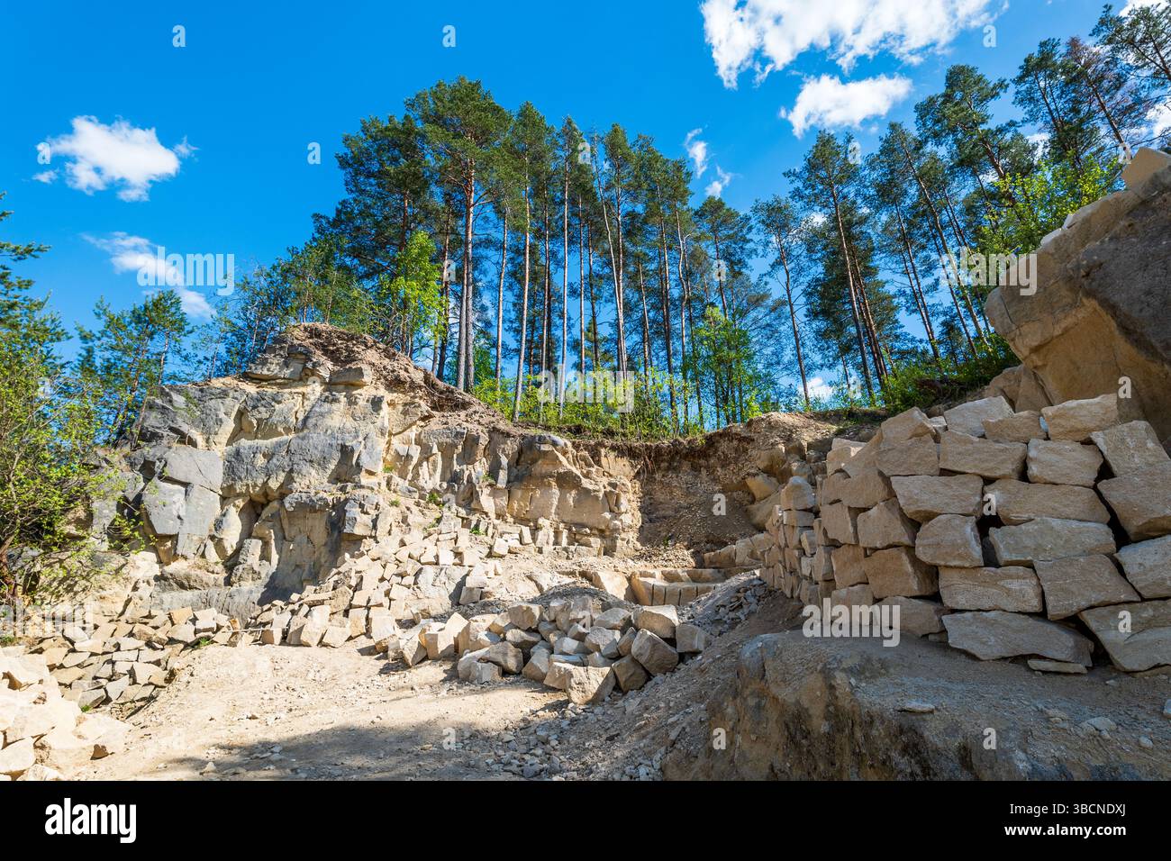 Blocchi di pietra calcarea. Cava circondata dalla foresta. Rocky Cliff. Jozefow, regione di Roztocze, Polonia. Voivodato di Lublino Foto Stock