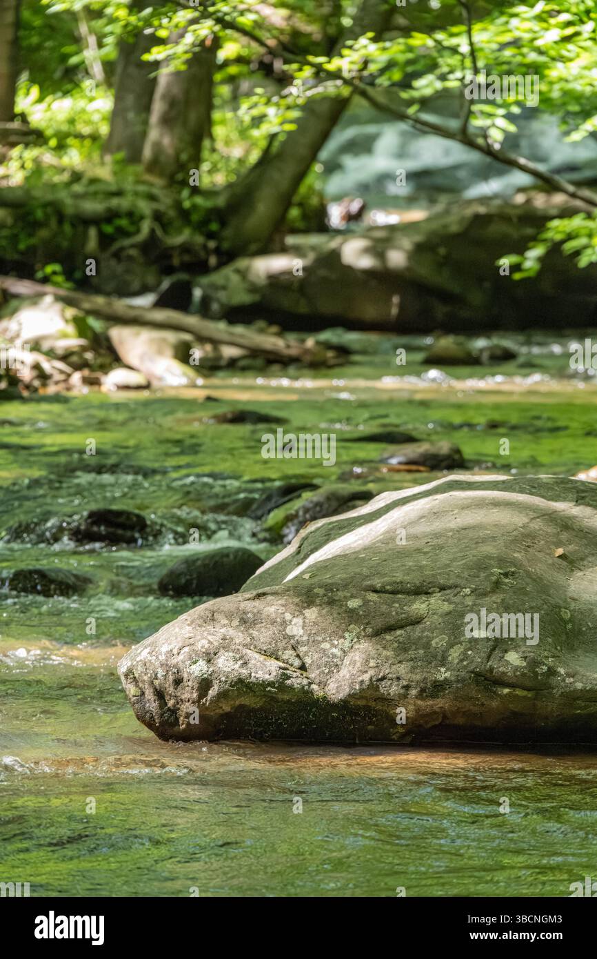 torrente di montagna a cascata a Jasper, Georgia. (USA) Foto Stock