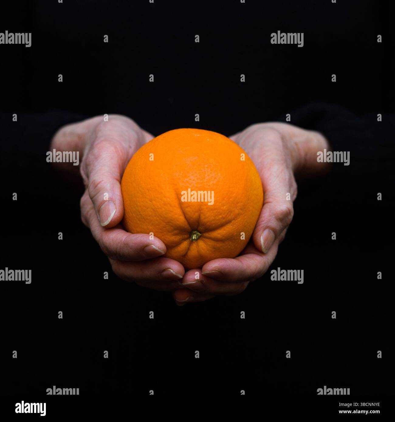 Le mani delicate afferrano un arancione brillante, mettendo in risalto la pelle liscia e le curve naturali. Lo sfondo scuro migliora la tonalità vivace Foto Stock