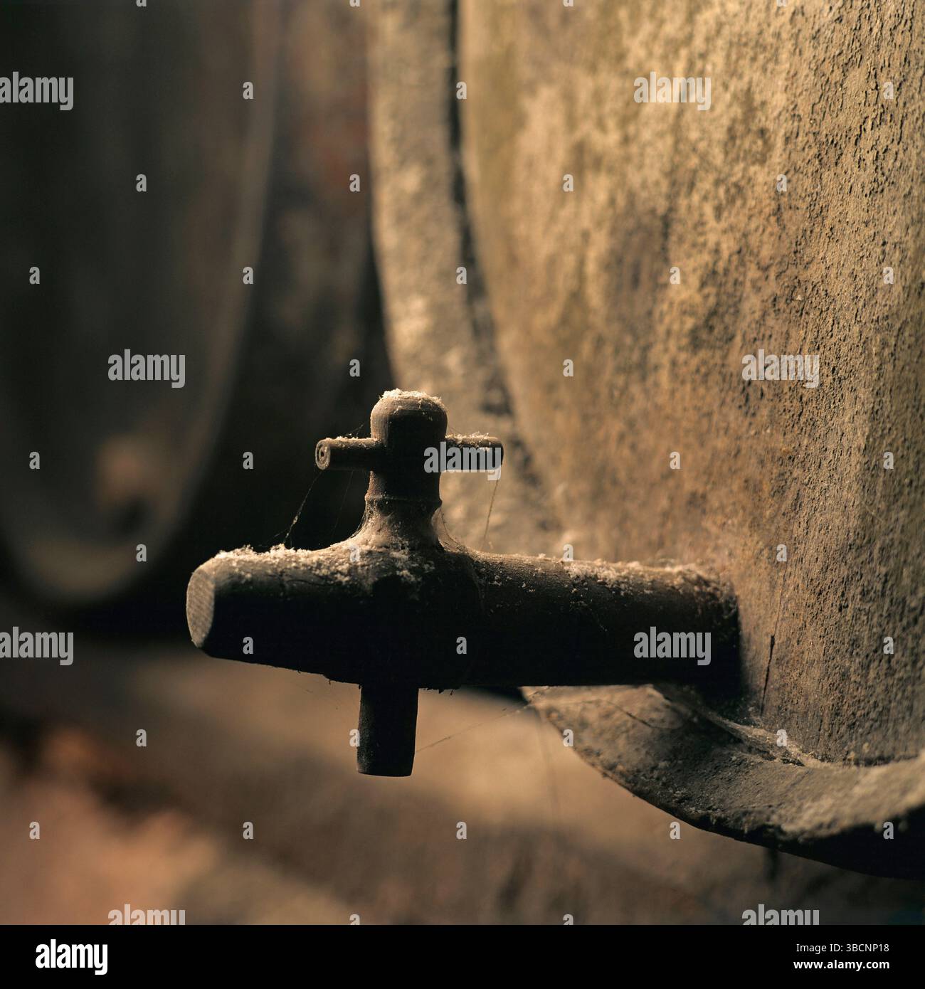 All'interno di un'antica cantina vinicola in Francia, spicca una botte di vino usurata. La polvere ricopre il legno, evidenziando il processo di invecchiamento del vino pregiato. Foto Stock