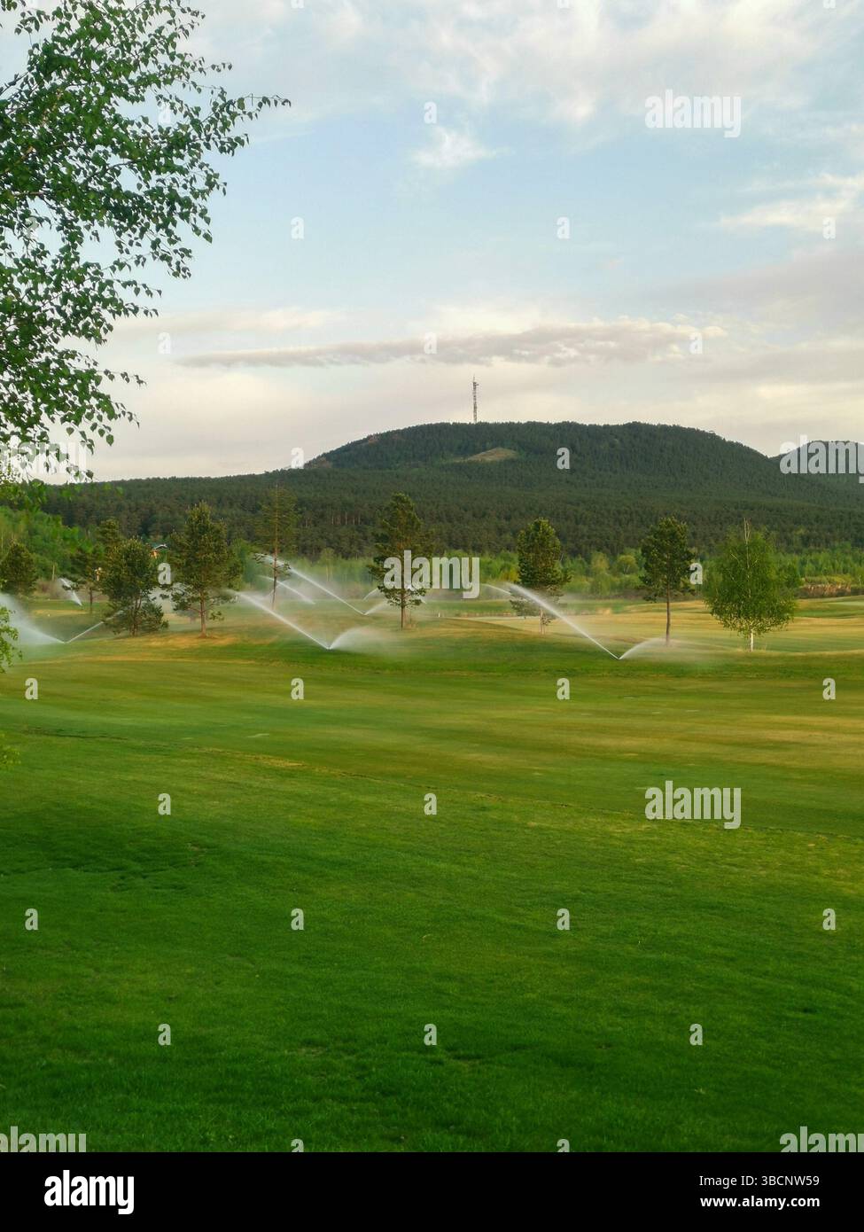 Irrigatori sul campo da golf Foto Stock