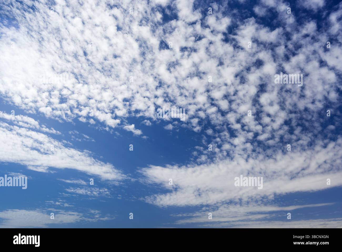 Bellissime nuvole bianche che coprono il cielo azzurro nelle giornate di sole, clima perfetto per le attività all'aperto Foto Stock
