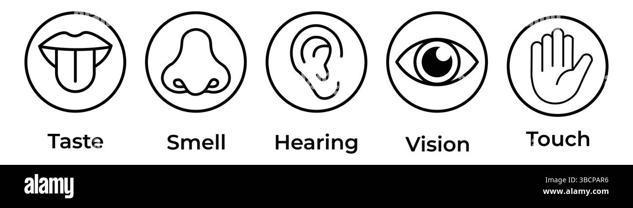 Set di icone dei sensi umani. Occhio visivo, naso olfatto, udito orecchio, toccare la mano, assaggiare la bocca con la lingua. Icone di linea semplici e cerchio nero. Illustrazione Vettoriale