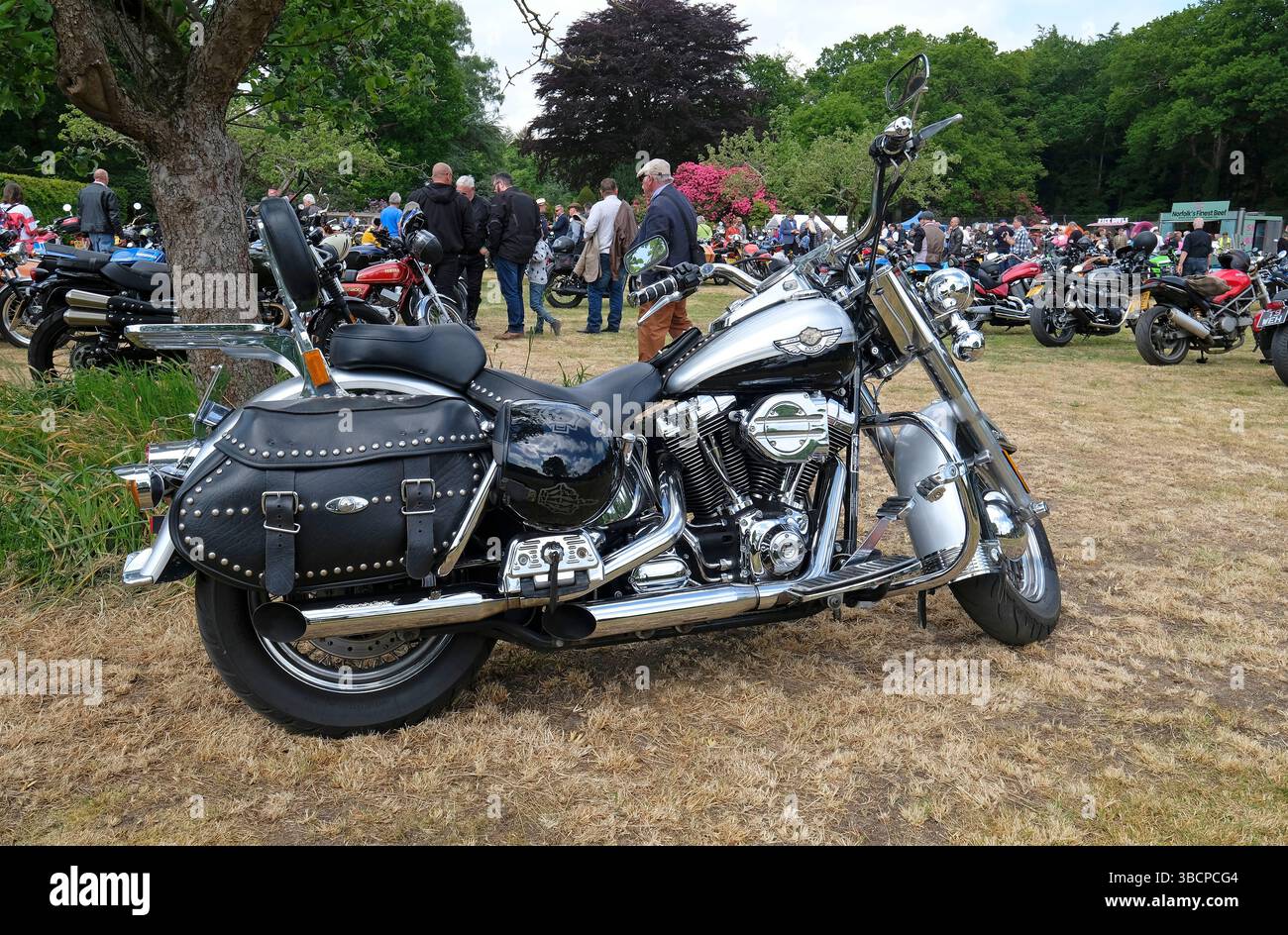 classico spettacolo motociclistico, stody lodge, nord di norfolk, inghilterra Foto Stock