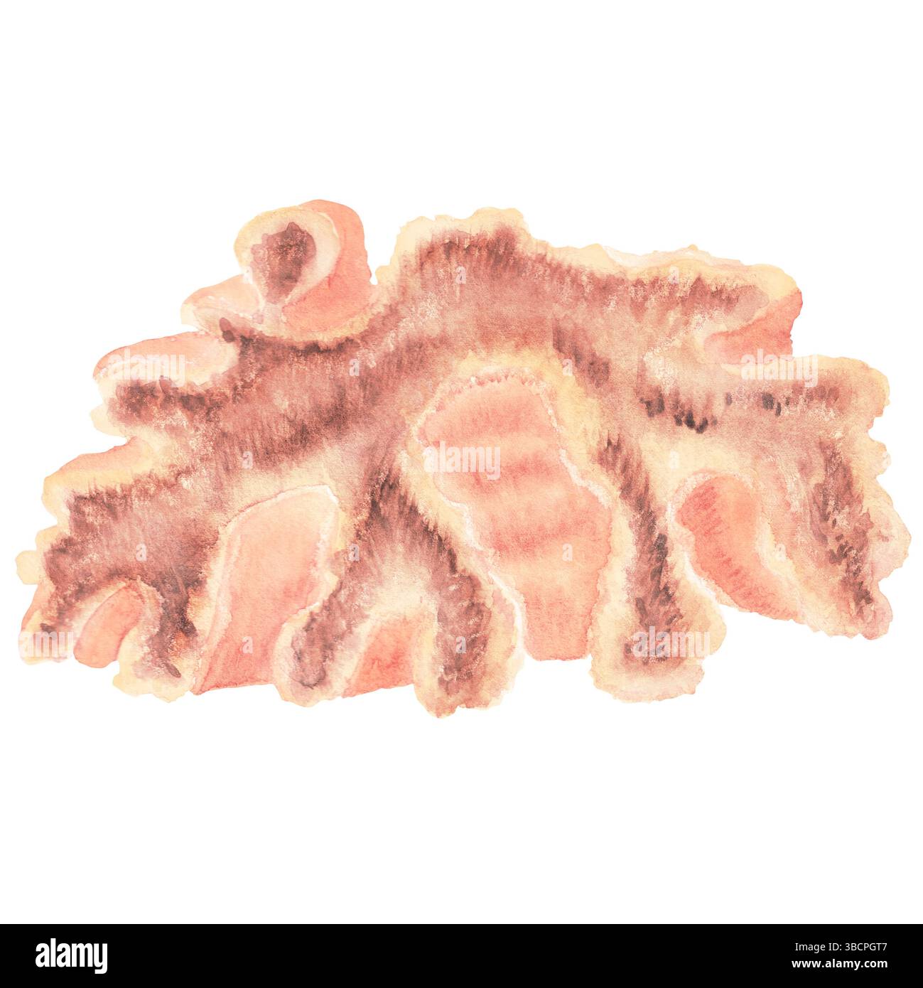 Bellissimo corallo rosa ad acquerello isolato. Una parte del bioma della barriera corallina. Elemento clipart Ocean Life per acquario. Illustrazione ad acquerello disegnata a mano. Per Foto Stock