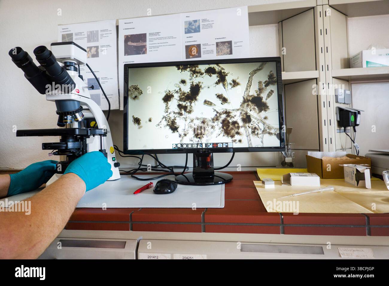 Sistema di chiarificazione convenzionale a tre stadi, i campioni di acqua vengono analizzati microscopicamente, Germania, Renania settentrionale-Vestfalia, Weilerswist Foto Stock