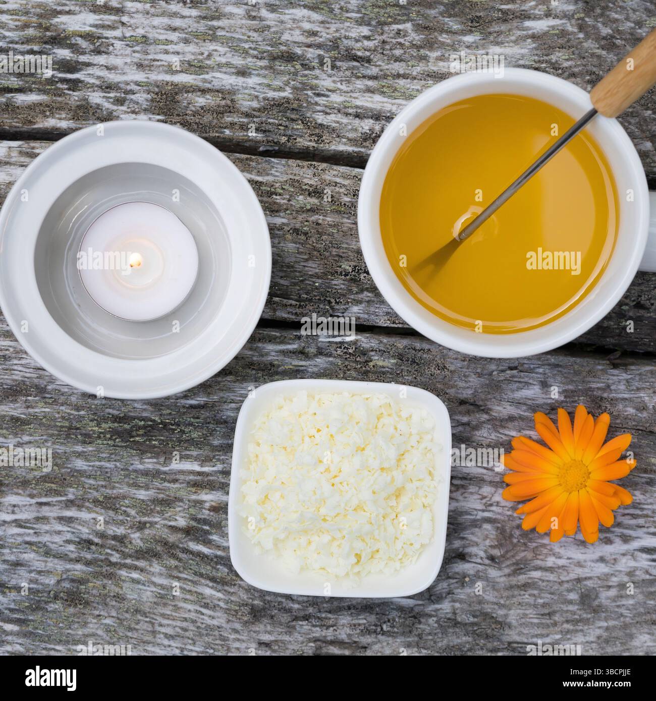 Calendula da giardino, calendula da vaso, calendula comune, cornetti, oro di Maria, calendula (Calendula officinalis), unguento fatto in casa a base di marigol Foto Stock