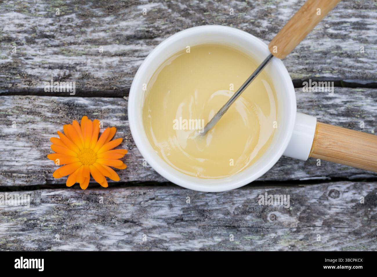 Calendula da giardino, calendula da vaso, calendula comune, cornetti, oro di Maria, calendula (Calendula officinalis), unguento fatto in casa a base di marigol Foto Stock