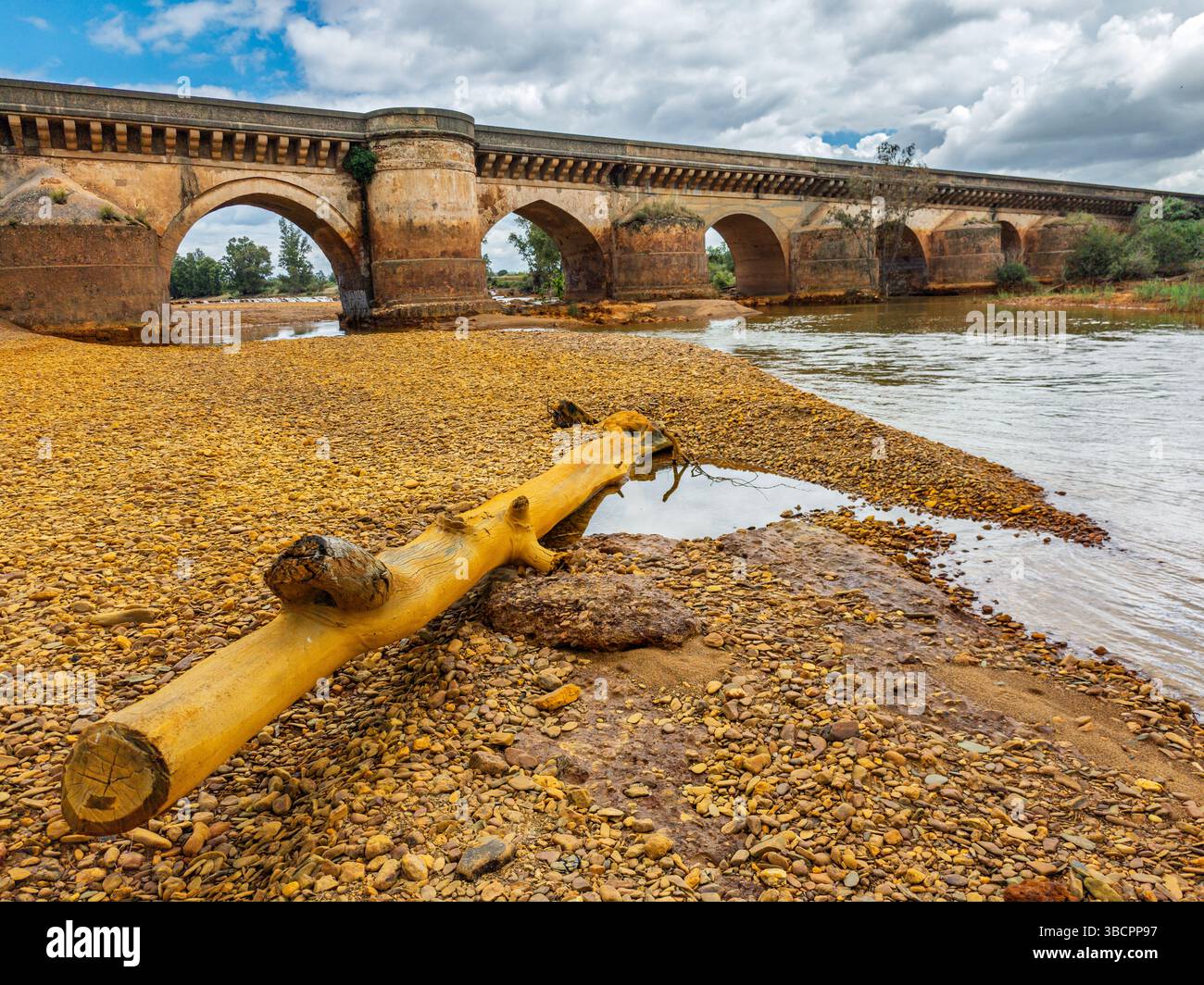 Un tronco d'albero poggia nel letto del fiume Tinto, che mostra le sfumature rossastre della mineralizzazione accanto ad un antico ponte romano. Foto Stock