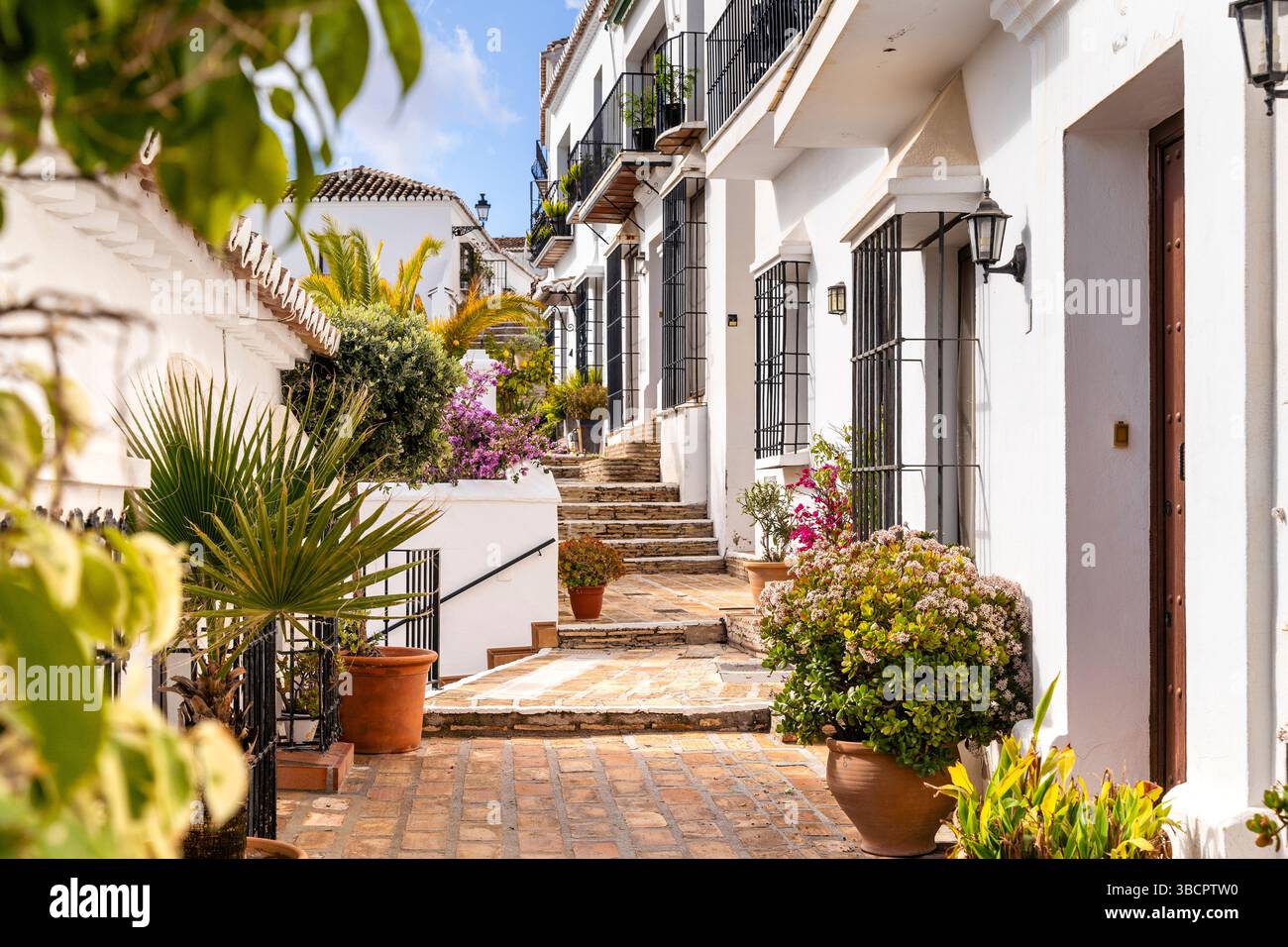 Piante sulle strade di fronte alle case bianche a Mijas, Malaga - Spagna Foto Stock