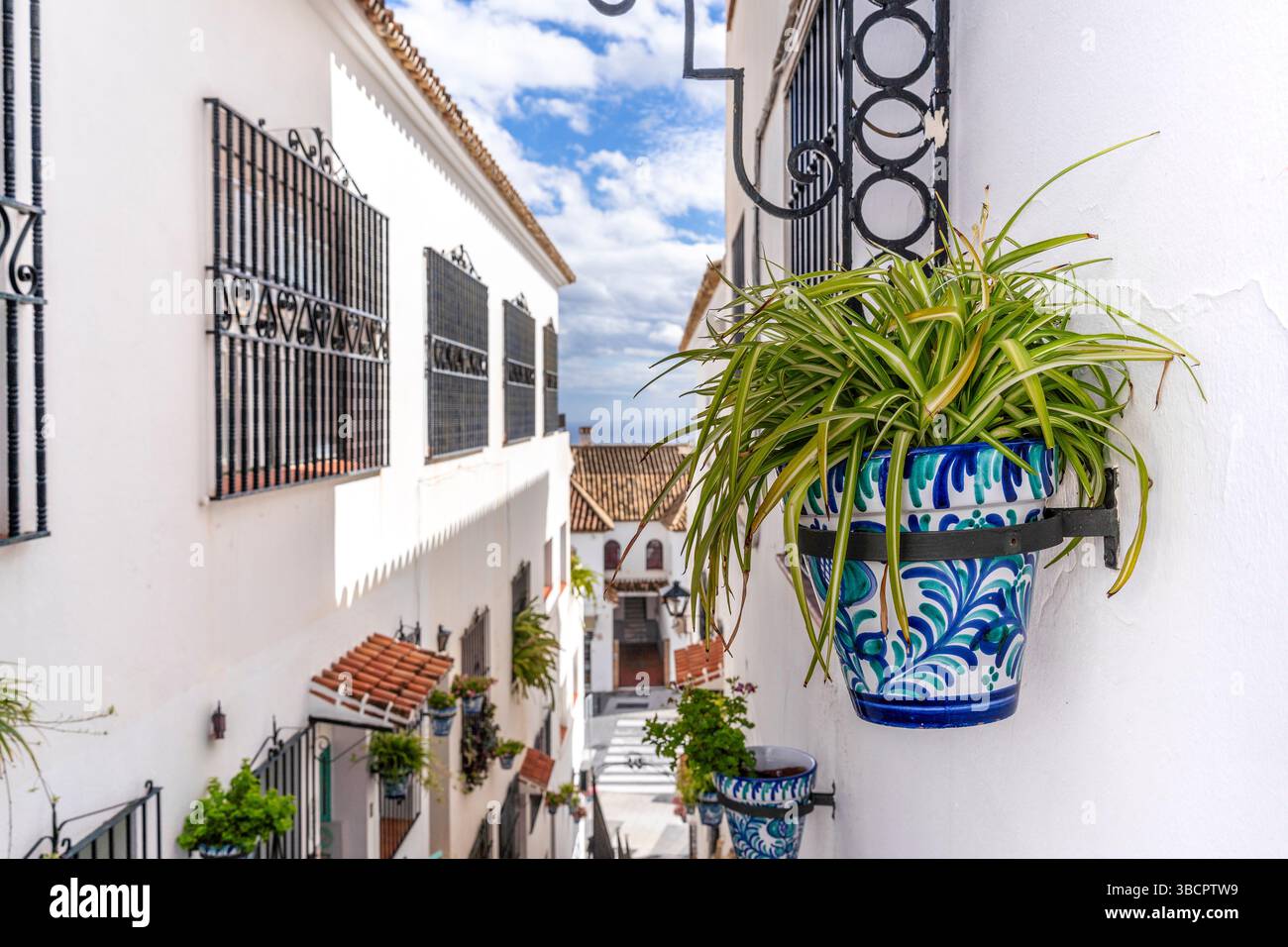 Piante sulle strade di fronte alle case bianche a Mijas, Malaga - Spagna Foto Stock