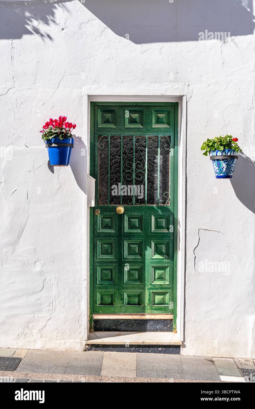 Porta verde e fiori nei vasi colorati delle case bianche di Mijas, Pueblos Blancos, villaggi bianchi, Spagna Foto Stock