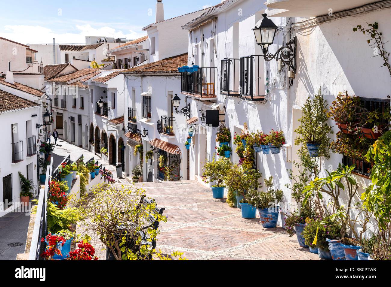 Piante sulle strade di fronte alle case bianche a Mijas, Malaga - Spagna Foto Stock