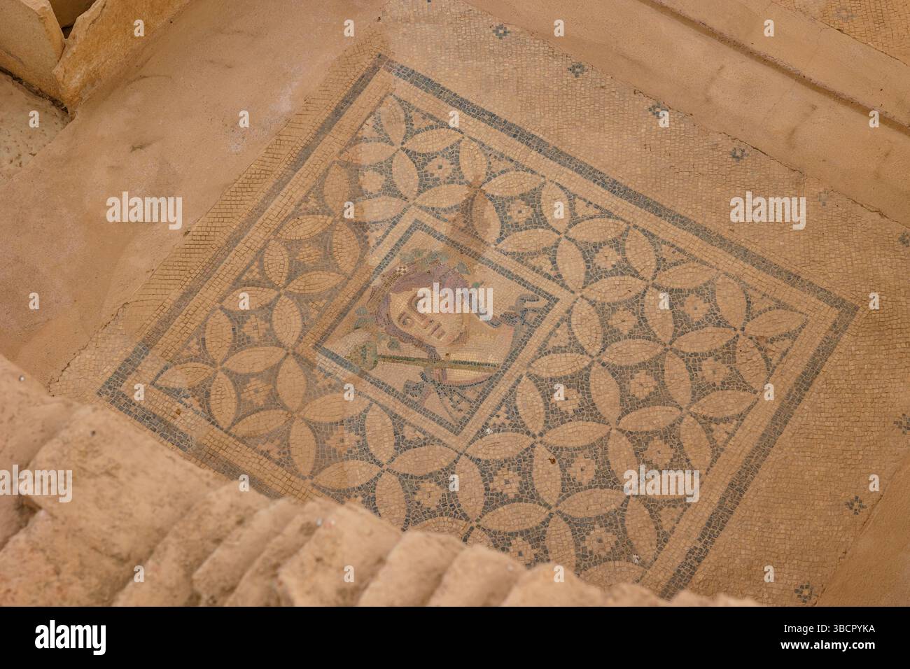 Un mosaico sul pavimento di una casa in terrazza ospita il complesso di Efeso. Smirne Turchia - 2.1.2025 Foto Stock