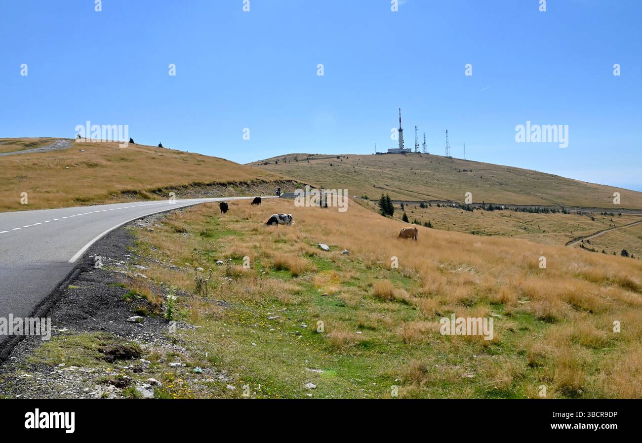 Romania Transalpina strada montagna regione natura paesaggio Foto Stock