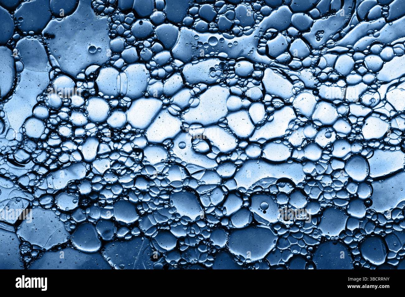 Schema del fluido astratto blu. Bolle d'olio nell'acqua. Sfondo texture macro. Look scientifico futuristico. I cerchi liquidi si sovrappongono. Biologia molecolare. Foto Stock