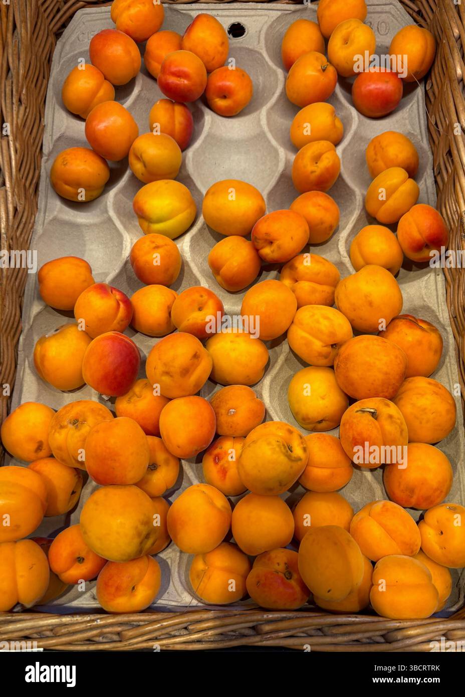 Un cestino di vimini pieno di albicocche mature mostra una ricca gamma di colori giallo e arancione. Questi frutti di stagione riflettono la generosità dell'estate, pronti Foto Stock