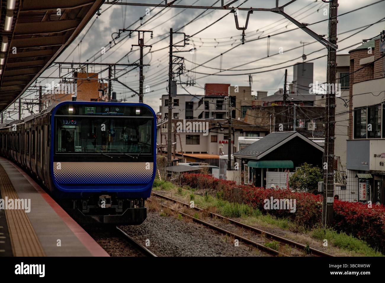 Treno locale che arriva alla piattaforma della stazione di Kamakura sotto il cielo sopraelevato, mostrando il transito giornaliero della città costiera Foto Stock