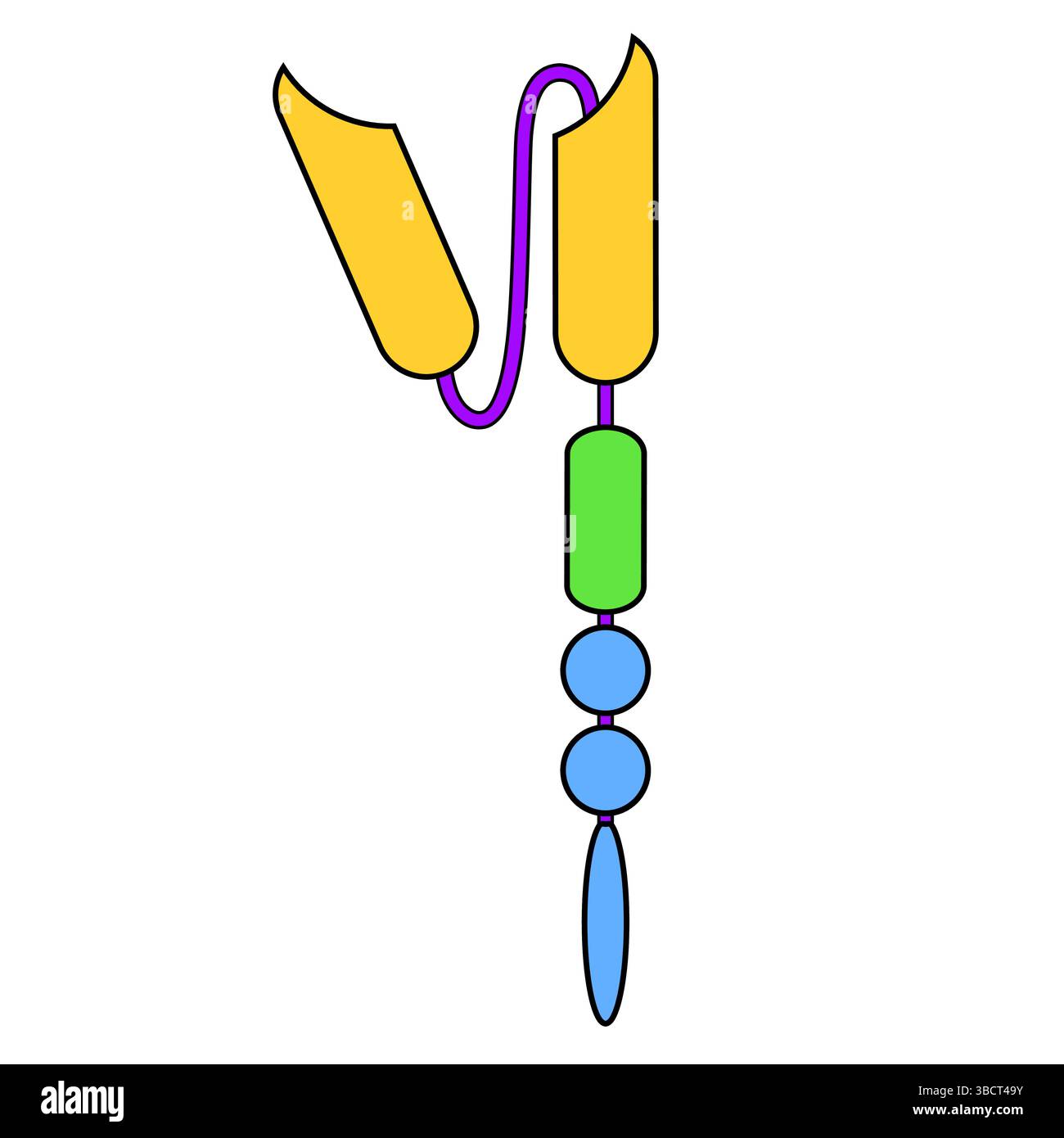 Cella T del recettore dell'antigene chimerico. Simbolo della cella CAR-T. Segno di immunoglobulina. Geneticamente modificato. Medicina personalizzata. Illustrazione vettoriale Illustrazione Vettoriale
