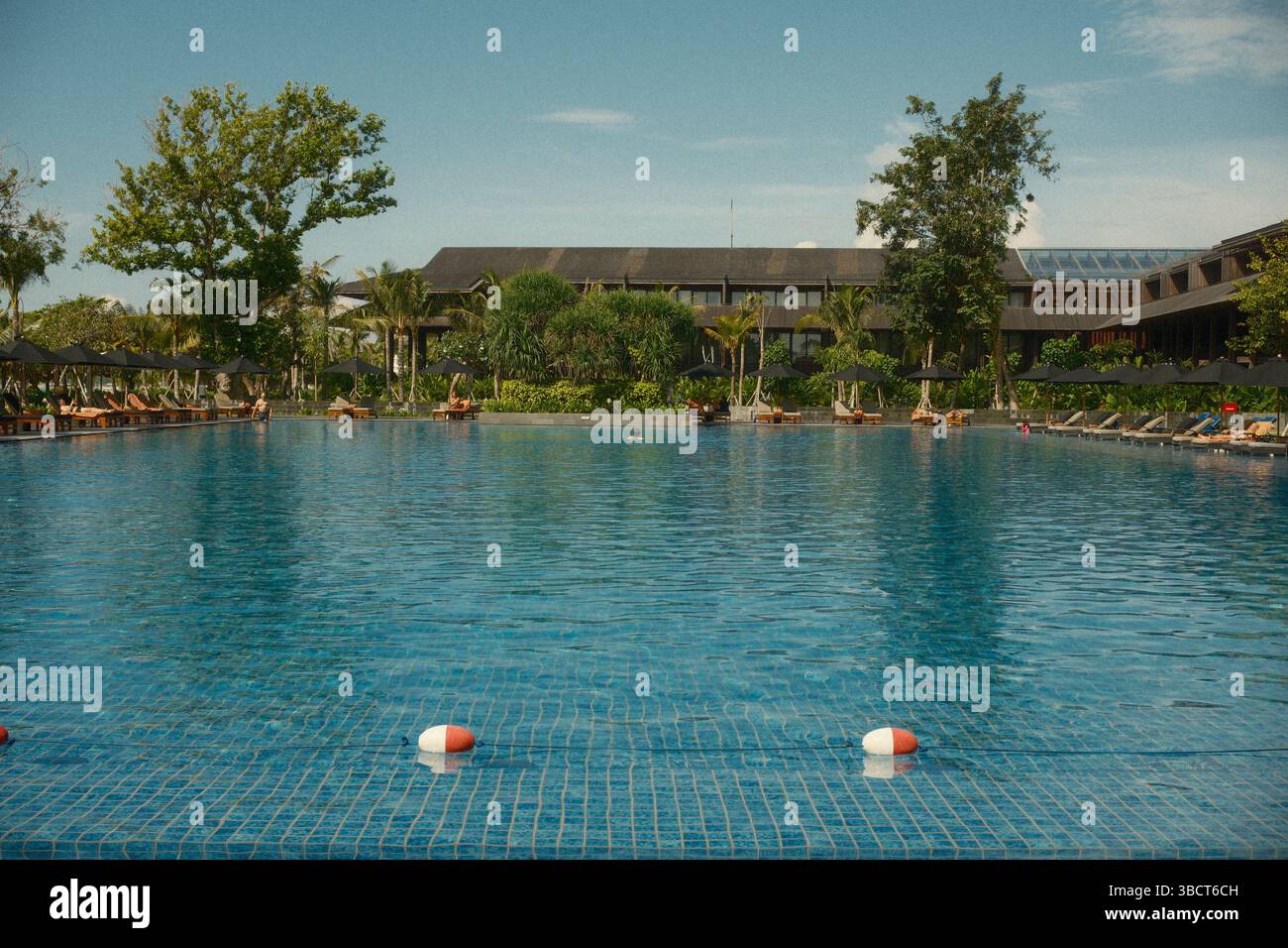 Sanur, Bali, Indonesia - 15 maggio 2025: Paradiso tropicale a bordo piscina con una lussuosa piscina circondata da lettini e vegetazione tropicale Foto Stock