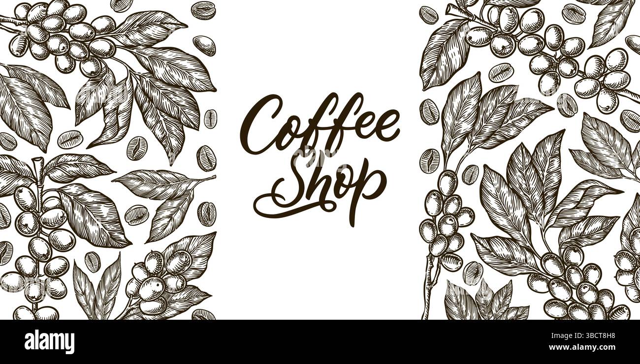 Modello di design dell'etichetta del caffè. Illustrazione vintage dello schizzo vettoriale. Confezione di chicchi di caffè tostati con scritta calligrafica disegnata a mano. Filiali di piante Illustrazione Vettoriale