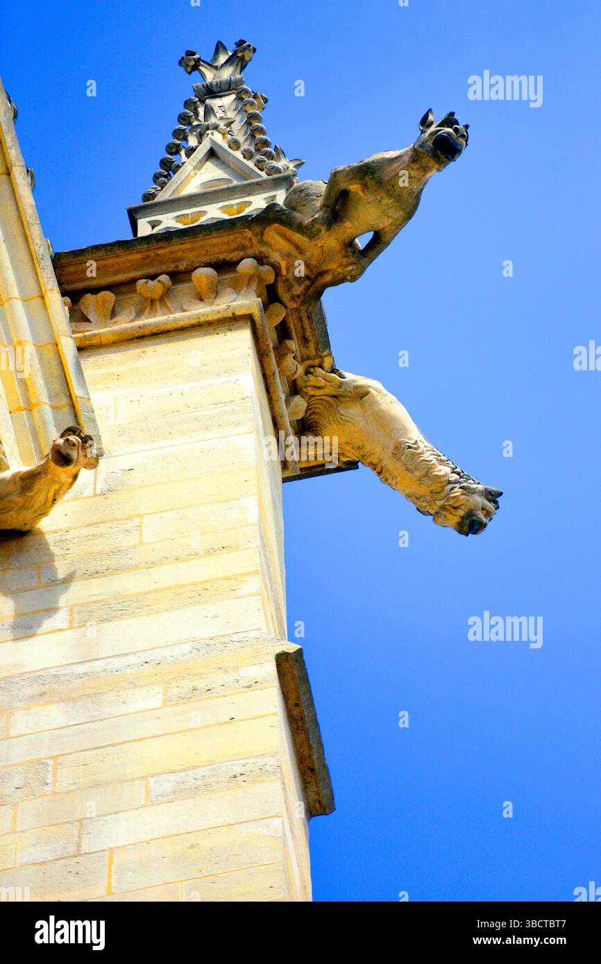 Gargouilles, Sainte Chapelle, Parigi, Francia. Foto Stock