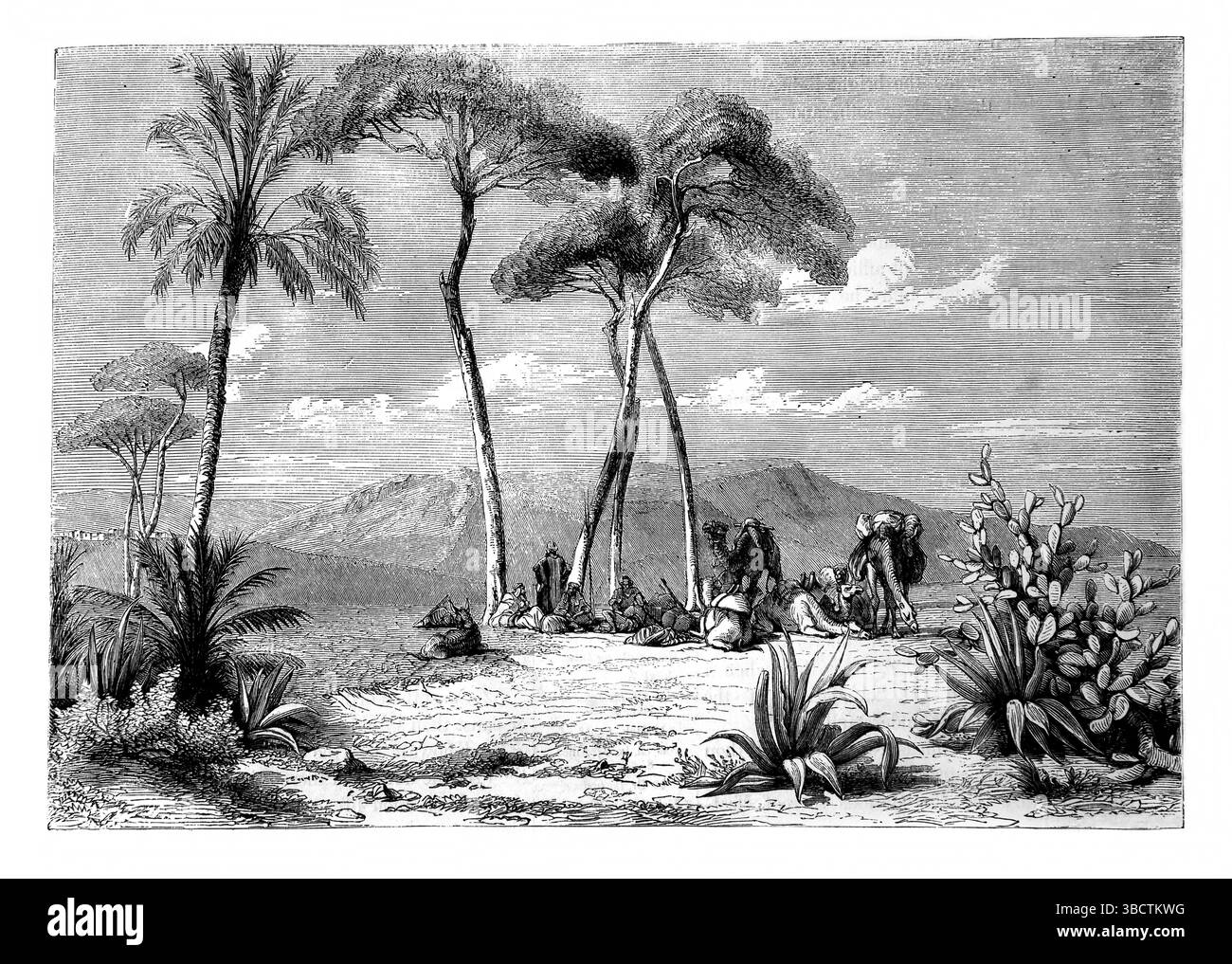 Illustrazione di una scena estiva in Oriente dall'Antico XIX secolo la Sacra Bibbia contenente l'Antico e il nuovo Testamento con note esplicative, Refe Foto Stock