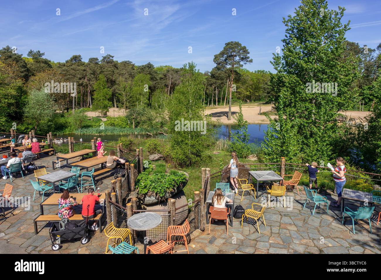 I visitatori di fronte al recinto degli animali si godono un drink sulla terrazza del ristorante dello zoo di Burgers, del giardino zoologico di Arnhem, Gelderland, Paesi Bassi Foto Stock
