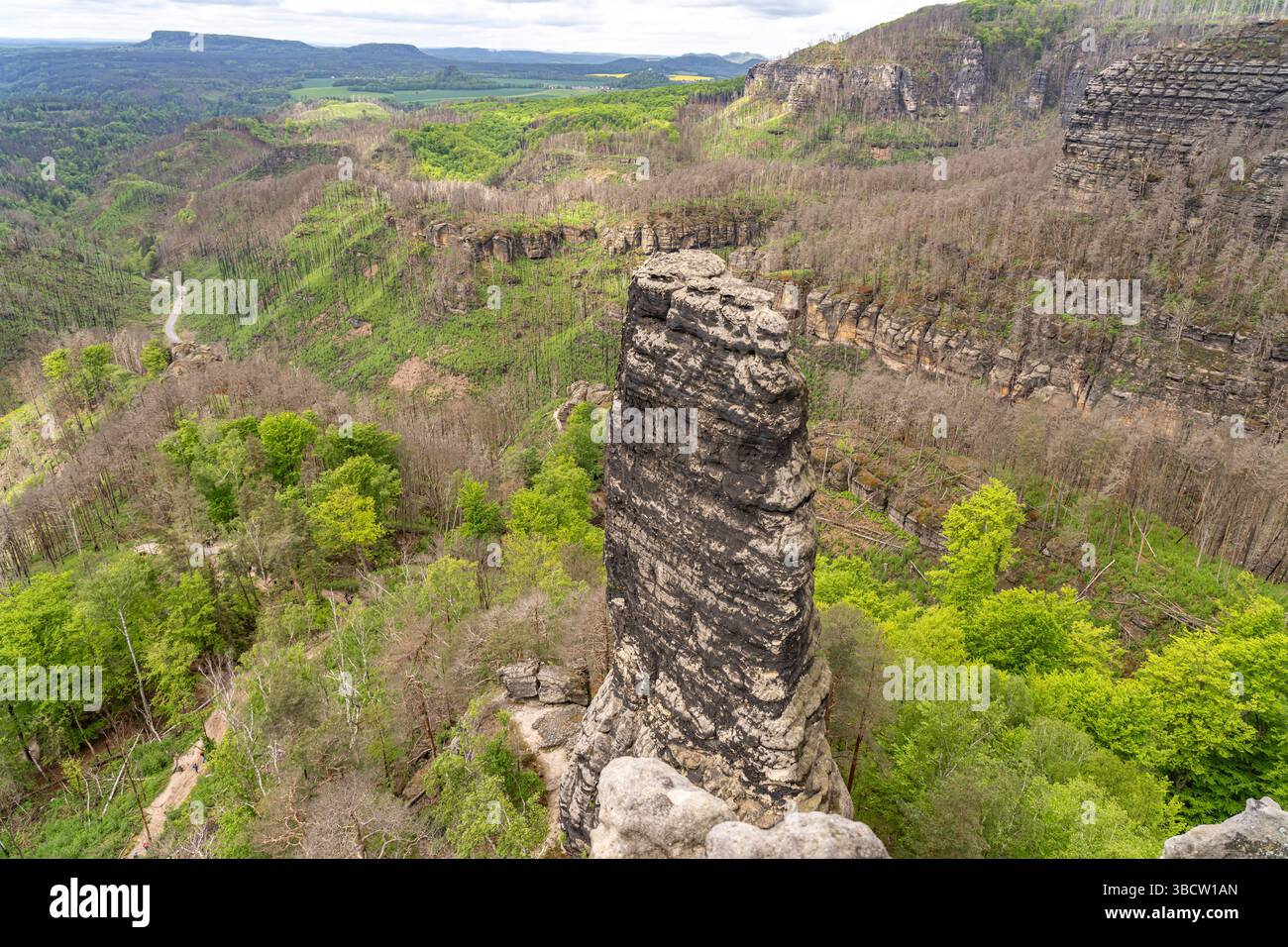 Felsformation und Wald im Nationalpark Böhmische Schweiz bei Hřensko, Tschechische Republik | formazione rocciosa e foresta a Boemia Svizzera Natio Foto Stock