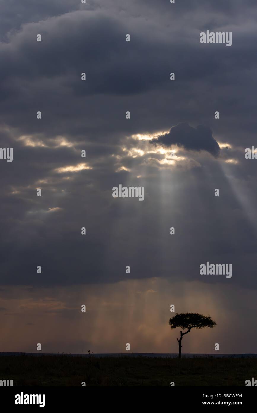 Masai Mara al tramonto con sole e cielo spettacolare Foto Stock