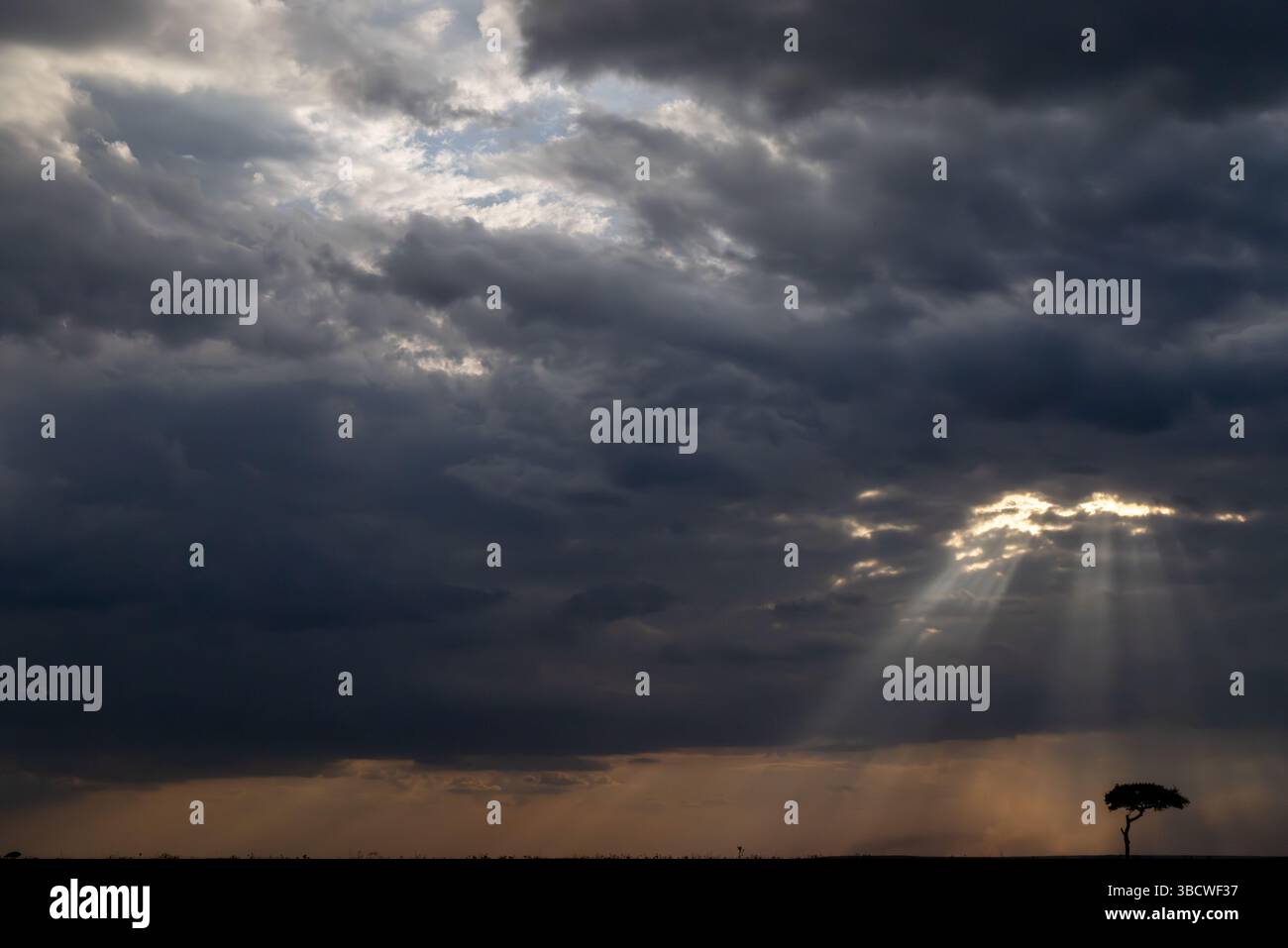 Masai Mara al tramonto con sole e cielo spettacolare Foto Stock
